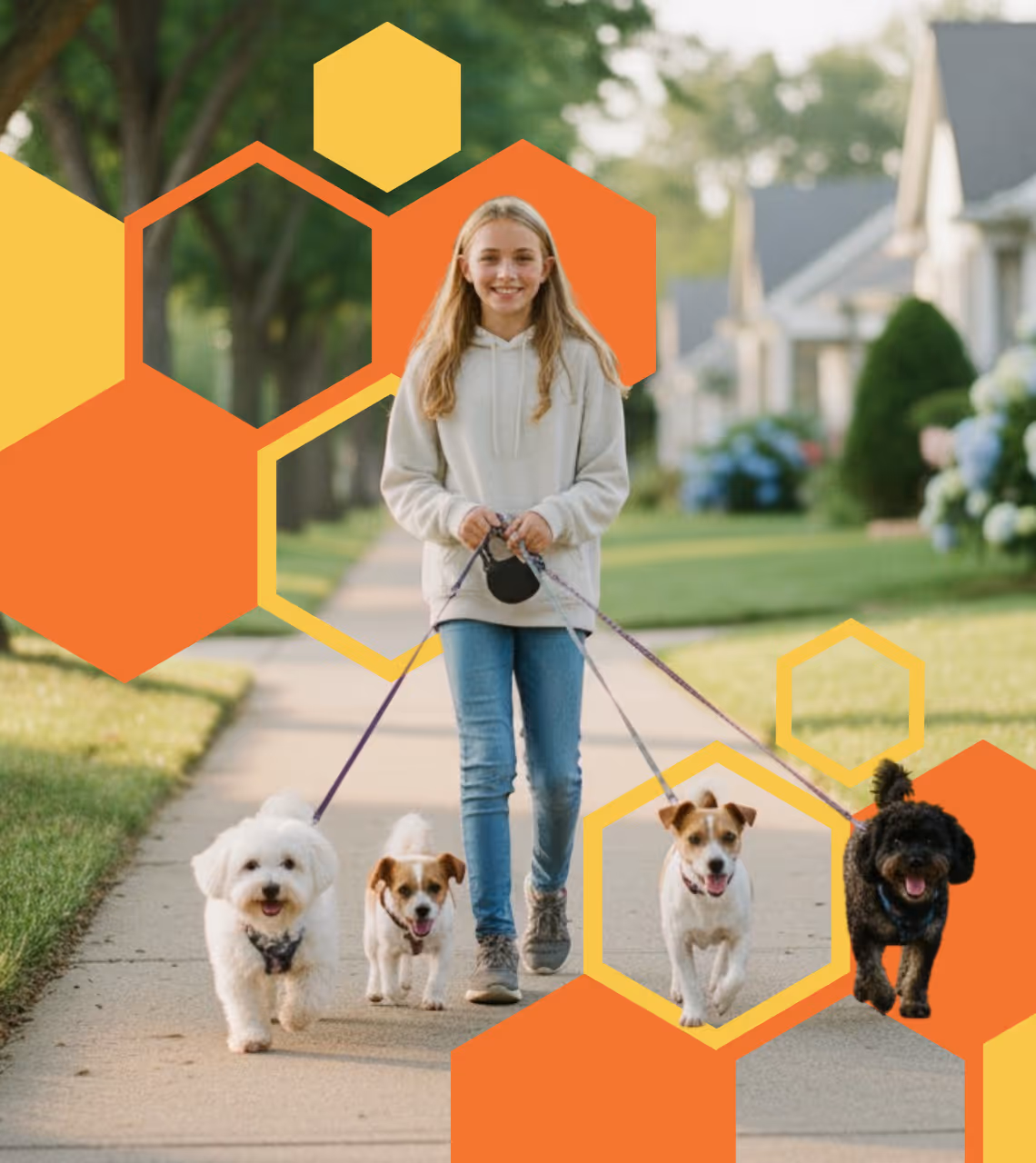Student walking a dog